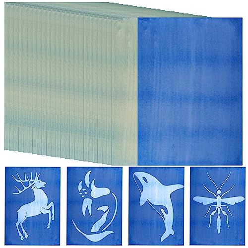 Fumwase 30 Sheets Sun Print Paper Kits Cyanotype Papers Kit A4 Nature Printing Solar Activated Light Sensitive Drawing Photosensitive Printmaking for Fumwase