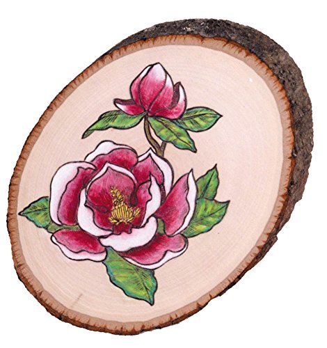 Walnut Hollow Basswood Round, Small 5-7" wide with Live Edge Wood (Pack of 1) - For Wood Burning, Home Décor, and Rustic Weddings - WoodArtSupply