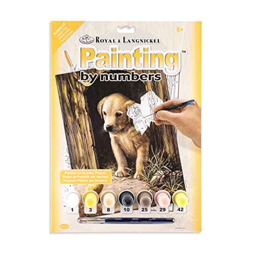 Royal & Langnickel Painting by Numbers Junior Small Art Activity Kit, Labrador Puppy Royal Brush
