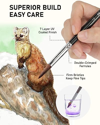 Nicpro 10 PCS Sable Watercolor Brush Set, Professional Watercolor Paint Brushes, Artist Kolinsky Variety Shapes with Flat Round Pointed Paint Brush Nicpro