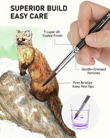 Nicpro 10 PCS Sable Watercolor Brush Set, Professional Watercolor Paint Brushes, Artist Kolinsky Variety Shapes with Flat Round Pointed Paint Brush Nicpro