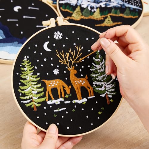 Armindou Embroidery Kit for Beginner Adults, Counted Stamped Cross Stitch kit for Adult Beginner, Hand Embroidery Starter Kits with Pattern, 3 Armindou