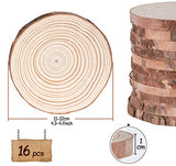 Lemonfilter Natural Wood Slices 16 Pcs 4.3-4.7 Inches Craft Wood Kit Wooden Circles Unfinished Log Wooden Rounds for Arts Crafts Wedding Christmas Lemonfilter
