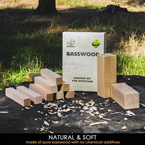 BeaverCraft BW10 Basswood Carving Blocks Set Bass Wood S14 Wood Carving Tools Set Wood Whittling Kit Wood Carving Kit Wood Carving Hook BeaverCraft