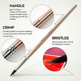 Nicpro Watercolor Paint Set, 48 Water Colors Kit with 8 Squirrel Brushes, Palette, Watercolor Pen, 25 Art Pad Paper, 2 Art Sponges, Non-toxic Nicpro