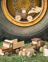 Classic Wooden Toys: Step-by-Step Instructions for 20 Built to Last Projects Cedar Lane Press