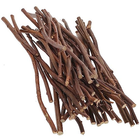 SEWACC 50pcs Branch Material Natural Wood Log Sticks Wooden Dowel Rod Cane Accessories Birch Wood Sticks Dry Wooden Sticks Vase Wood Crafts DIY SEWACC