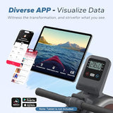 Merach Rowing Machine, Magnetic Rower Machine for Home, 16 Levels of Quiet Resistance, Dual Slide Rail with Max 350lb Weight Capacity, App Compatible MERACH