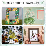 Aboofx Large Professional Flower Press Kit, 6 Layers 10.8 x 6.9 inch DIY Flower Pressing Kit for Adults to Making Dried Flower & Press Flowers Arts Aboofx