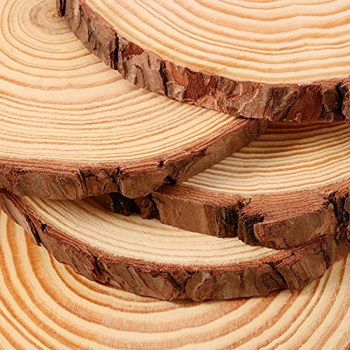 JEUIHAU 10 PCS 6.7-7 Inches Natural Unfinished Wood Slices, Round Wooden Tree Bark Discs, Wooden Circles for DIY Crafts, Christmas, Rustic Wedding - WoodArtSupply