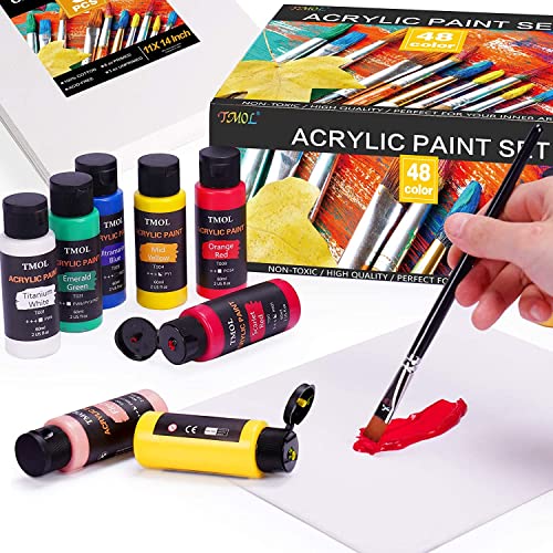 Acrylic Paint Set, 48 Colors (2 oz/Bottle) with 12 Art Brushes, Art Supplies for Painting Canvas, Wood, Ceramic & Fabric, Rich Pigments Lasting - WoodArtSupply