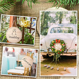 6 Pcs Unfinished Wood Rounds 12 Inch Hanging Wood Circles for Crafts Rustic Wood Sign Blank Wood Plaques for Crafts Wooden Door Hangers for DIY Yookeer