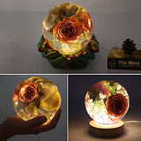 Voaesdk 2Pcs Large Sphere Resin Molds,4.7'' & 4'' Crystal Ball Silicone Resin Molds for Flowers Preservation,Seamless Orb Epoxy Resin Molds for DIY Voaesdk