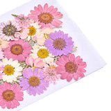 160pcs Dried Pressed Flowers for Resin, Real Pressed Flowers Dry Leaves Bulk Natural Herbs Kit for Scrapbooking DIY Art Crafts, Epoxy Resin Jewelry, MUCBAFLY