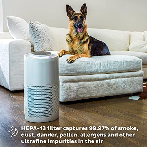 Instant HEPA Quiet Air Purifier, From the Makers of Instant Pot with Plasma Ion Technology for Rooms up to 1,940ft2, removes 99% of Dust, Smoke, Instant