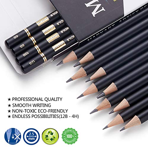 Artist Professional Drawing Pencil Graphite Sketching 12B-6H Set Of 14