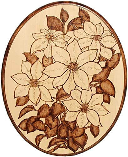Walnut Hollow Basswood Oval Plaque, 8 x 10 x 0.75 for Woodburning, Painting or Chip Carving