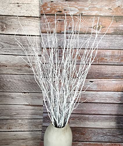 Decorative Birch Branches Decoration, 23 Inch Birch Stems for Wedding Decor,Dried Twigs for Christmas Decor (White) - WoodArtSupply