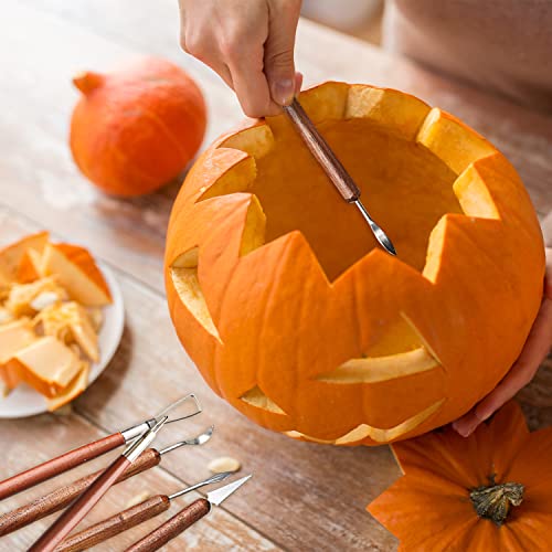 Fashion Road 6Pcs Clay Sculpting Tools, Clay Tools Pottery Tools Wooden Handle Double-Sided Set for Pottery Ceramics Sculpting FASHIONROAD