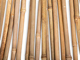 FOREVER BAMBOO BAMA-BP11 Bamboo Garden Stakes Plant Support, 3/8" D x 4' H, Natural FOREVER BAMBOO