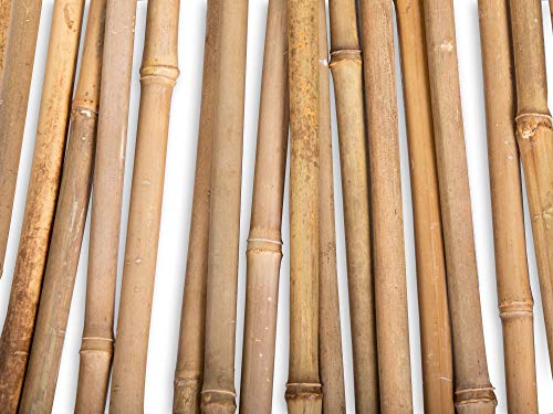 FOREVER BAMBOO BAMA-BP11 Bamboo Garden Stakes Plant Support, 3/8" D x 4' H, Natural - WoodArtSupply