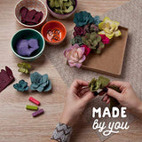 Craft Crush — Felt Succulents Craft Kit — Display Kit — Fun & Easy — Ages 13+, Small Craft Crush