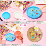 600 PCS Dried Flowers for Resin Crafts, Small Dried Flowers for Nails, Real Natural Tiny Dried Pressed Flowers for Jewelry Earrings Epoxy Molds, LGFMGWH