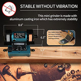 LIBAOTML Mini Bench Grinder with Variable Speed for Polishing, Buffing, and Jewelry Making, Small Bench Polisher and Professional Lapidary Equipment LIBAOTML