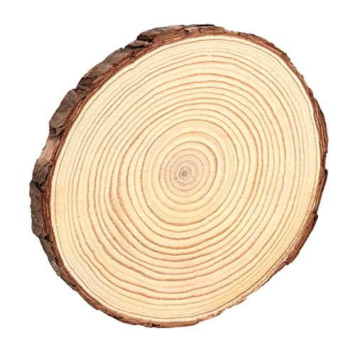 TAICHEUT 15 Pack 6-7 Inch Unfinished Natural Wood Slices for Crafts, Unfinished Wood Slices with Natural Bark Log Circles for Coasters, Ornaments,