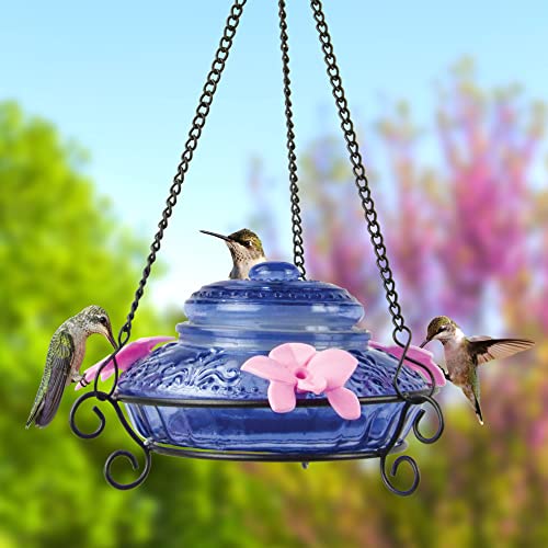 Nature's Way Bird Products ANTHF2-I Illuminated Antique Top-Fill Hummingbird Feeder, Light Blue/Pink Nature's Way
