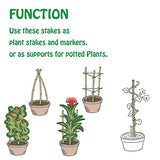 Mininfa Natural Bamboo Stakes 2 Feet, Eco-Friendly Garden Stakes, Plant Stakes Supports Climbing for Tomatoes, Trees, Beans, 30 Pack Mininfa