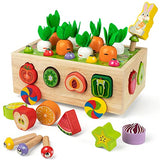 Coogam Montessori Fine Motor Toys for Baby Toddler, Wooden Shape Sorter Carrot Harvest Game, Preschool Learning Educational Gift Toy for 3 4 5 Year Coogam