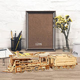 Express Train - DIY 3D Wooden Puzzle Model Kit - Laser Cut Wooden Puzzle Craft Kit, Brain Teaser Educational Building Model Toy for Kids -Mechanical ROEOLNIL
