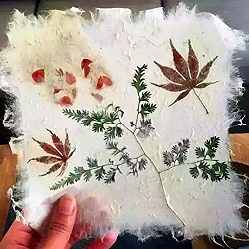 Complete Handmold Papermaking Kit Handmade Paper Art Crafts Set for Children with Screen Frame Great Gifts for Girls Boys Makes 5.8 x 8.2 inch Paper