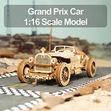 ROKR Grand Prix Car 3D Wooden Puzzle - Mechanical Model Kit for Adults and Creative Gift ROKR