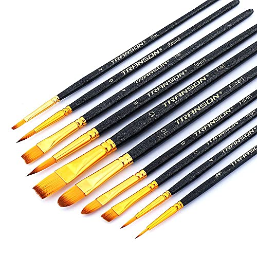 Transon 20pcs Art Painting Brush Set for Acrylic Watercolor Gouache Hobby Craft Face Painting - WoodArtSupply