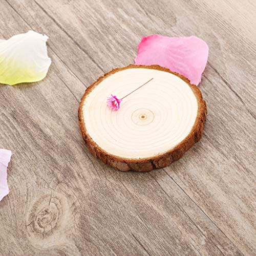 Ciieeo 5pcs Round Wooden Slices Unfinished Wood Discs for DIY Crafts Tree bark Wood Slices DIY Wood Mini Wooden Clips Wood Slices for Crafts with Ciieeo