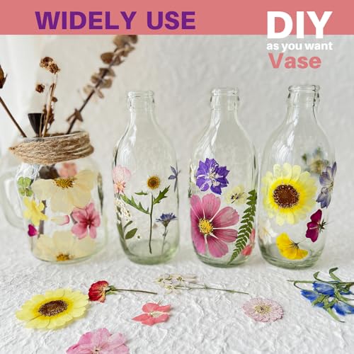 ZQmino A4 Large Dried Pressed Flowers for Resin Sunflower Pressed Flowers Real Dry Natural Flowers Leaves for Resin Mold Cake Candle Making Phone ZQmino