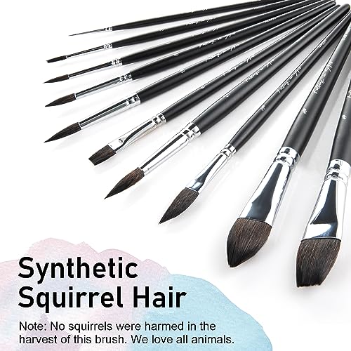Falling in Art 10Pcs Soft Synthetic Squirrel Hair Paint Brushes - Professional Watercolor Brush Set with Short Handles - Round, Flat, Dagger, Oval Falling in Art