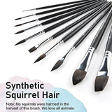 Falling in Art 10Pcs Soft Synthetic Squirrel Hair Paint Brushes - Professional Watercolor Brush Set with Short Handles - Round, Flat, Dagger, Oval Falling in Art