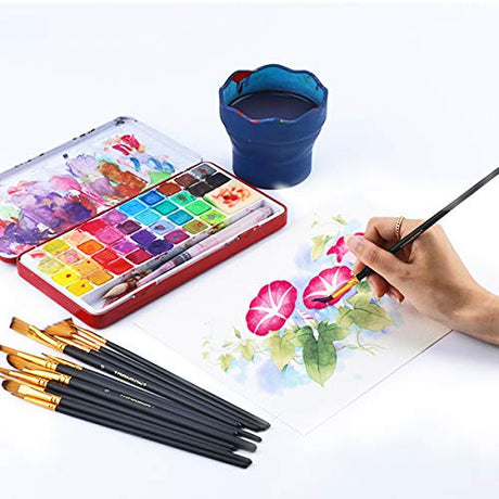 Transon Art Painting Brush Assorted Set of 12 for Acrylic Watercolor Gouache Hobby Painting TRANSON