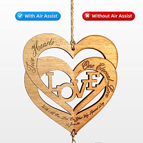 Air Assist for Laser Cutter and Engraver, Air Assist Pump Kit with Adjustable 30L/Min, Suitable for D1 Pro and D1 - Removes Smoke and Dust, Protects ANNOY TOOLS