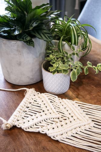 KIMMER 3 in 1 DIY Macrame Kit for Beginners| Wall Hanger | Plant Hanger | Dream Catcher |l Wall Décor |Crafts Adults |Wall Art Home Décor | Woven - WoodArtSupply