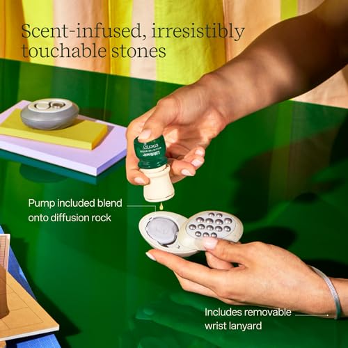 Lifelines Scent-Infused Meditative Fidget Stones 2-Pack & Essential Oil Set, Portable Essential Oil Diffuser with Individual Walk in The Woods: Lifelines