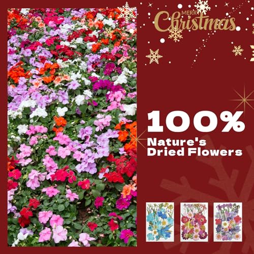 CONVELIFE Dried Flowers for Resin, 120pcs Natural Flowers and Leaves Compressed, Vacuum Packed DIY Dried Flowers for Epoxy, Jewelry, Candles, Soap, CONVELIFE