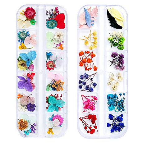 iFancer 108 Pcs Dried Flowers for Resin Nail Art 62 Colors 3D Dry Flowers for Nails 2 Boxes Small Tiny Dried Flowers for Nail Art Little Pressed Real iFancer