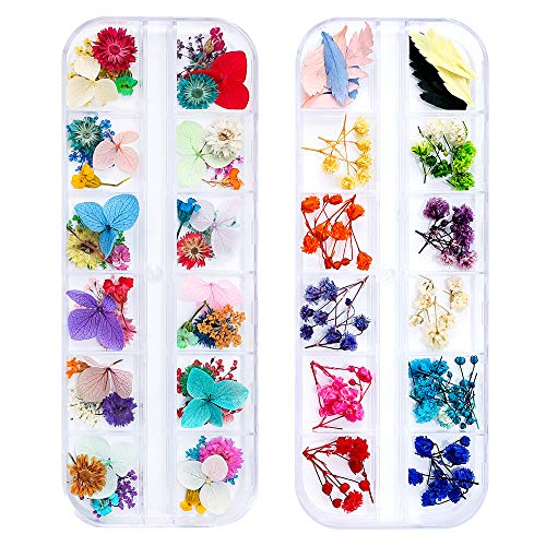 iFancer 108 Pcs Dried Flowers for Resin Nail Art 62 Colors 3D Dry Flowers for Nails 2 Boxes Small Tiny Dried Flowers for Nail Art Little Pressed Real - WoodArtSupply