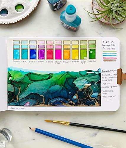 T-Rex Inks Premium Alcohol Inks Starter Set- 12 Vibrant XL Colors - Alcohol Ink for Epoxy Resin Dye, Painting, Tumbler Making & More - Storage Box &