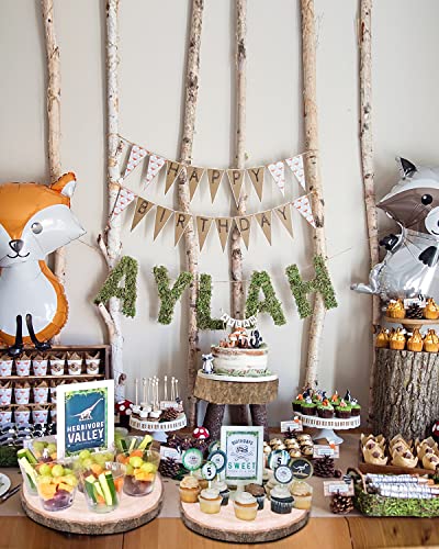 Wood Slices 4 Pcs 9.8-12Inch Large Wood Rounds Unfinished Wood Circles Natural Wood Slices for Centerpieces/Table BeNiNat