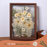 12“ Large Bulk Winter White Dried Pressed Flowers for Art Crafts, Real Dry Natural Flower Leaf for Resin Mold, Jewelry Making, Glass Frame (Winter ZMRU